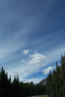 thumbs/Picture 059.png